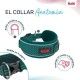 collar-anatomy-halti-varios-colores-y-tallas