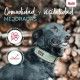 collar-anatomy-halti-varios-colores-y-tallas
