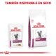 royal-canin-gatos-renal-con-pollo-sobre-pouch-85-g