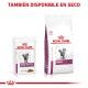 royal-canin-gatos-renal-con-pescado-sobre-pouch-85-g