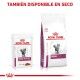 royal-canin-gatos-renal-con-buey-sobre-pouch-85-g