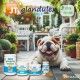 glandulex-sacs-suplemento-60-croquetas-blandas