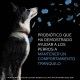 purina-pro-plan-canine-calming-care-probiotico-monodosis