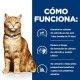 hills-feline-cd-urinary-care-estofado-pollo-lata-82-g-prescription-diet