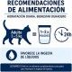 leonardo-drink-sopa-de-bacalao-pouch-de-40-g