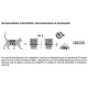 leonardo-puro-en-pavo-pouch-de-85-g