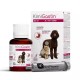 kimigastin-gel-soporte-gastrico-para-perros-y-gatos-30-ml