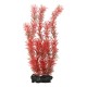 tetra-red-foxtail-plantastics-decoracion-para-acuarios-varios-tamanos