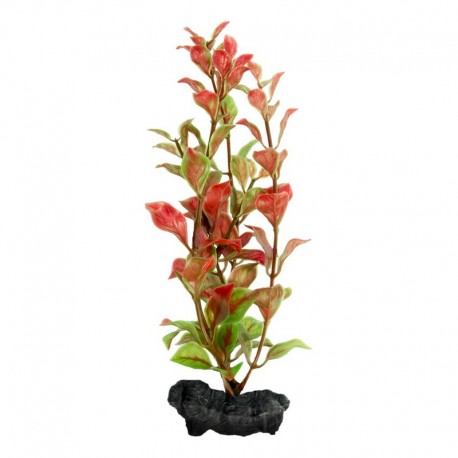 tetra-red-ludwigia-plantastics-decoracion-para-acuarios-varios-tamanos