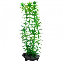 tetra-anacharis-plantastics-decoracion-para-acuarios-varios-tamanos