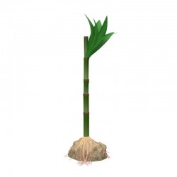 tetra-asian-bamboo-decoart-plantastics-premium-decoracion-para-acuarios