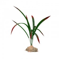 tetra-dragonflame-decoart-plantastics-premium-decoracion-para-acuarios