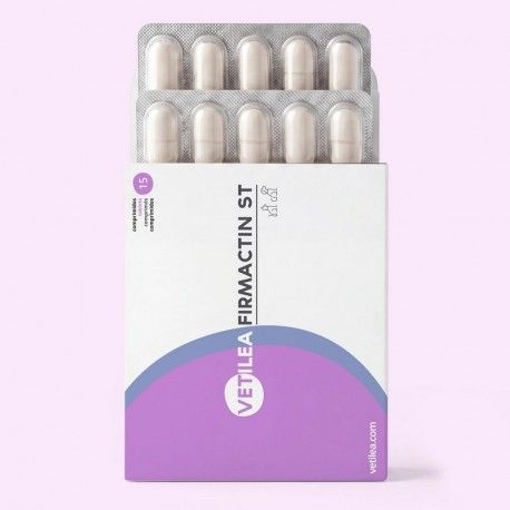vetilea-firmactin-st-suplemento-15-comprimidos