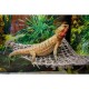 hamaca-reptology-para-terrarios-27x32-cm