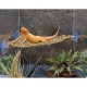 hamaca-reptology-para-terrarios-27x32-cm