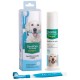 dentican-kit-dental-stangest-dentifrico-enzimatico-con-cepillo-100-ml
