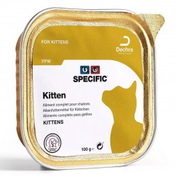 specific-gato-kitten-fpw-lata