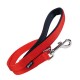 correa-nailon-liso-gloria-varios-tamanos-y-colores