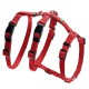 arnes-3-puntos-hunter-vario-rapid-varios-tamanos-y-colores