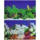 lamina-fondo-para-acuario-coral-plantas-30-cm-reversible