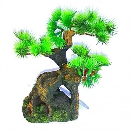 Bonsai talla S