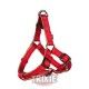 petral-trixie-softline-elegance-l-rojo