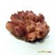 decoracion-conchas-surtidas-5-cm-05