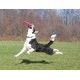 kong-flyer-frisbee-rojo-06