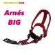 arnes-big-sandimas-30x400-600-mm