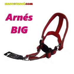 Arnés Big SanDimas 3x40-60 cm
