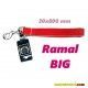 correa-ramal-big-sandimas-30x800-mm