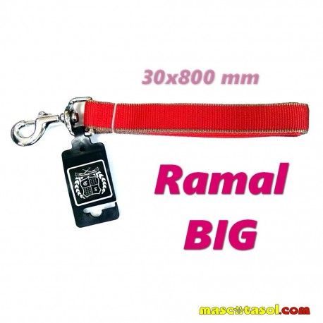 correa-ramal-big-sandimas-30x800-mm
