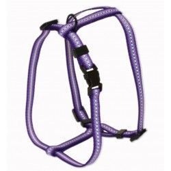Arnés Ajustable SanDimas Mini 10x105 mm nailon