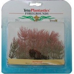 tetra-red-foxtail-foreground-plantastics-decoracion-para-acuarios