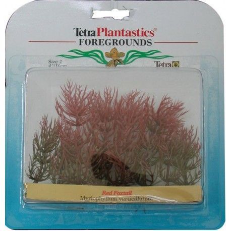 tetra-red-foxtail-foreground-plantastics-decoracion-para-acuarios