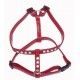 arnes-sandimas-cuero-shiny-mini-10x300-400-mm-rojo