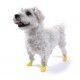 Botas de Goma Pawz para perros