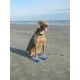 Botas de Goma Pawz para perros