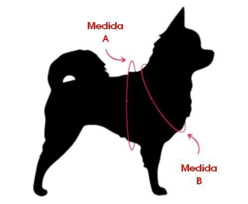 medidas